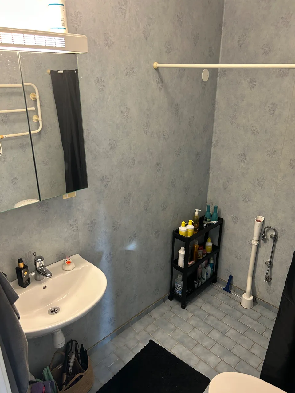 Bild 12